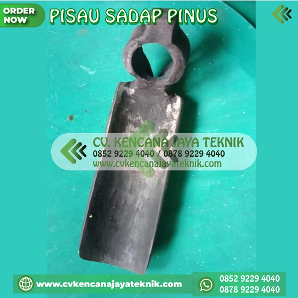 pine sap tapping knife - sap tapping tool