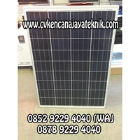Panel Tenaga Surya / Solar Panel Type Poly 150W